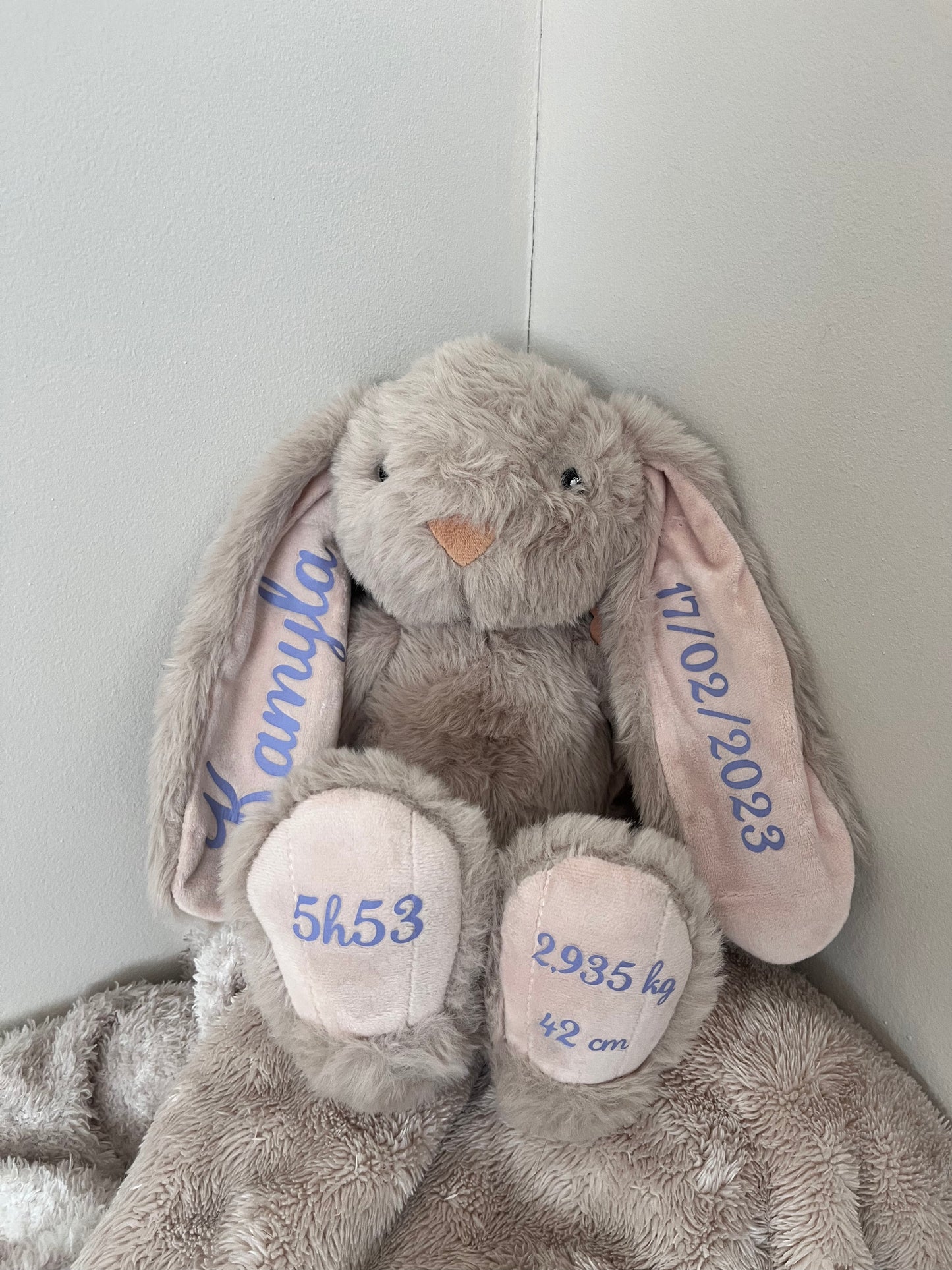 Doudou Lapin naissance