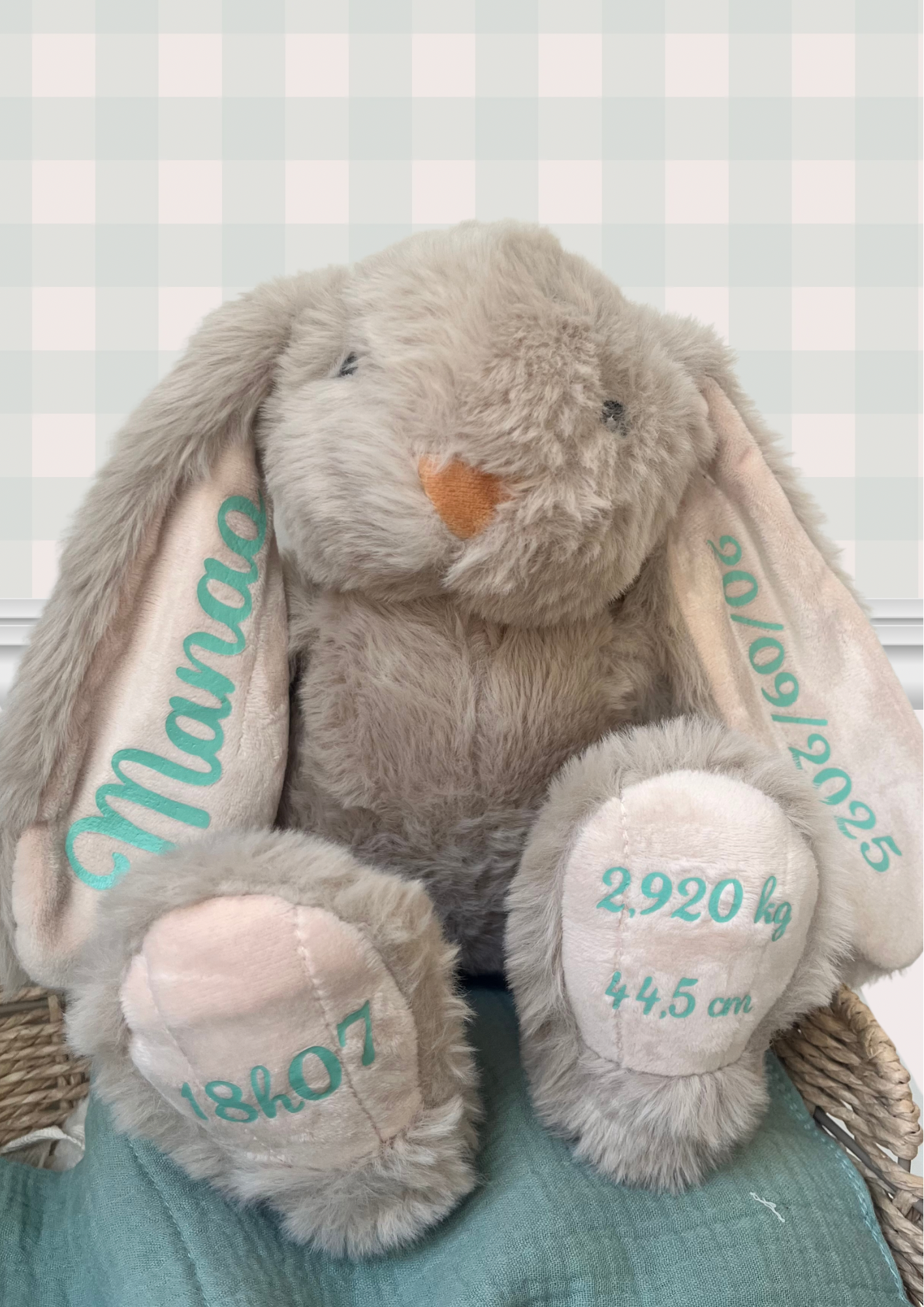 Doudou Lapin naissance